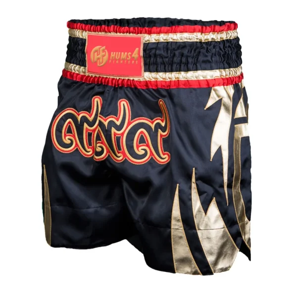 Muay Thai Shorts